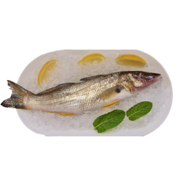 Sand Whiting 400-450g